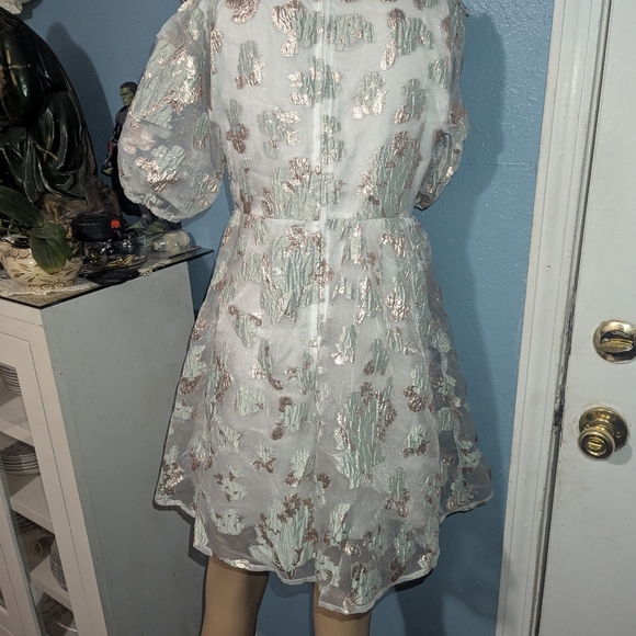 Audrey Park Cream Puff Sleeve V-Neck Mini Dress - Picture 4 of 7